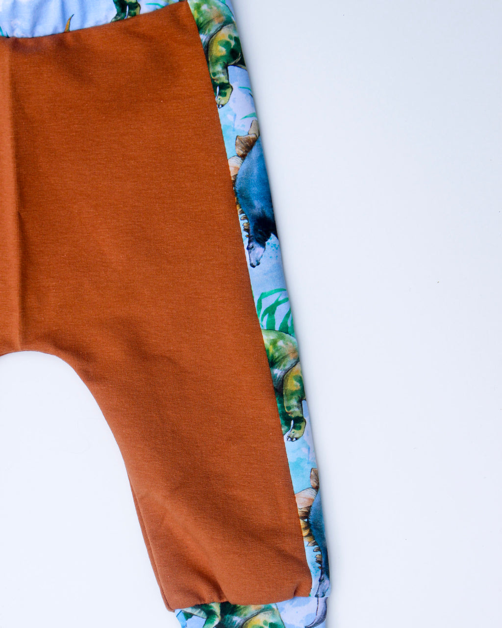 Joggedress | Dinosaurer